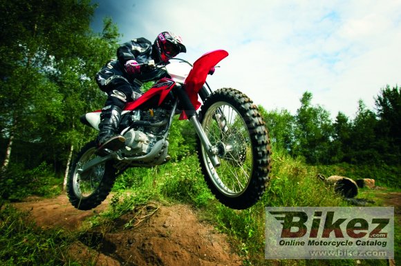 2009 Honda CRF230F photo
